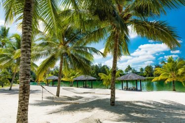 palm-trees-and-hammock-on-a-tropical-beach-island-2023-11-27-05-27-53-utc (1)